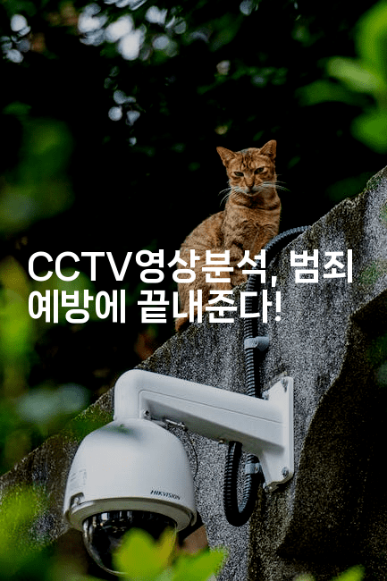 CCTV영상분석, 범죄 예방에 끝내준다!2-스릴링크