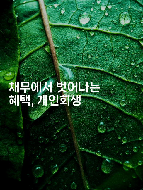 채무에서 벗어나는 혜택, 개인회생