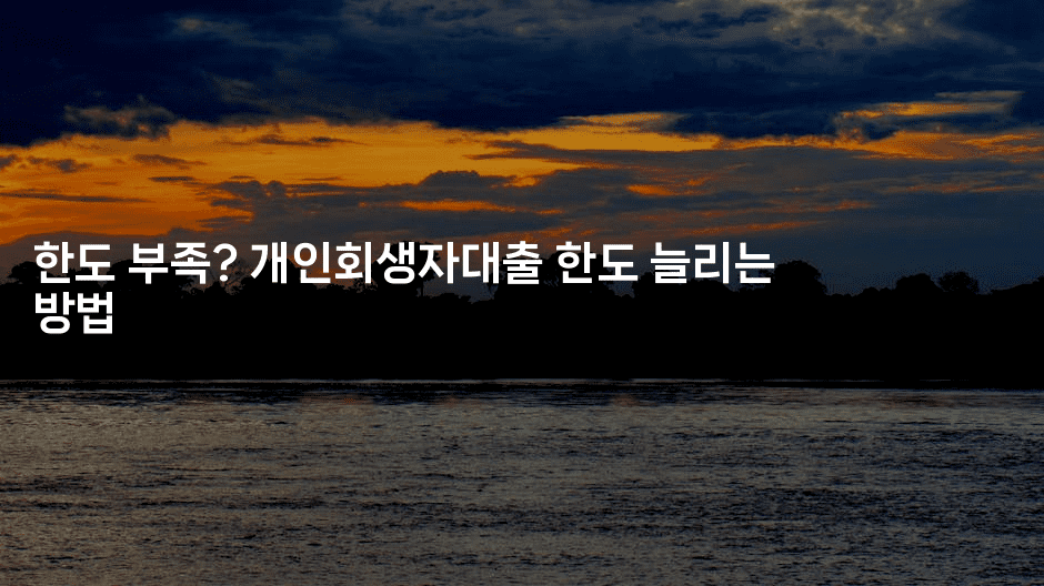 한도 부족? 개인회생자대출 한도 늘리는 방법-스릴링크