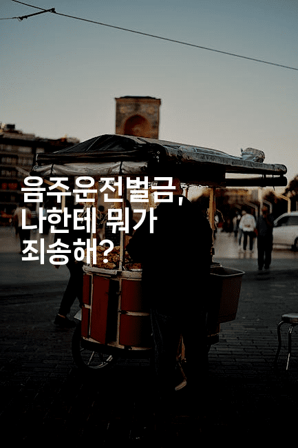 음주운전벌금, 나한테 뭐가 죄송해?2-스릴링크