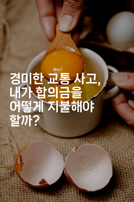 경미한 교통 사고, 내가 합의금을 어떻게 지불해야 할까?2-스릴링크