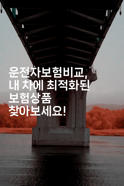 운전자보험비교, 내 차에 최적화된 보험상품 찾아보세요!2-스릴링크