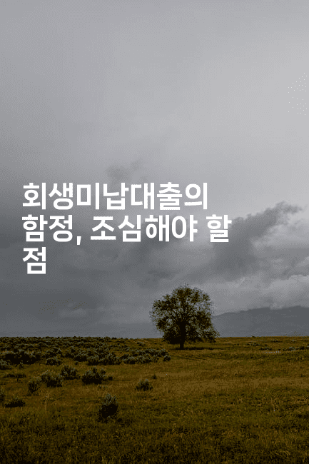 회생미납대출의 함정, 조심해야 할 점-스릴링크