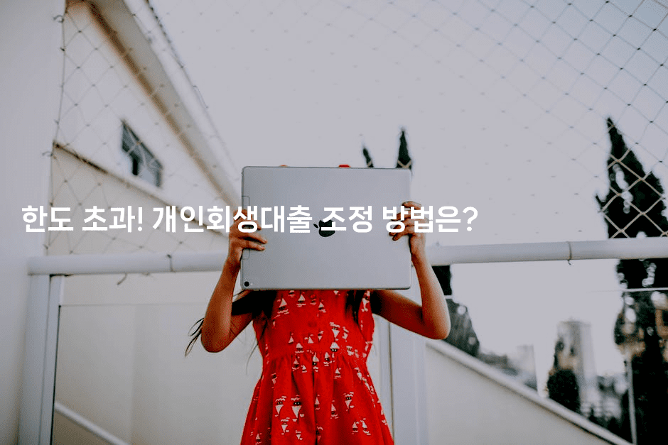 한도 초과! 개인회생대출 조정 방법은?-스릴링크